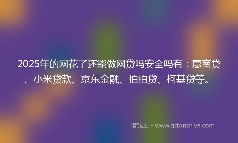 2025年的网花了还能做网贷吗安全吗有：惠商贷、小米贷款、京东金融、拍拍贷、柯基贷等。