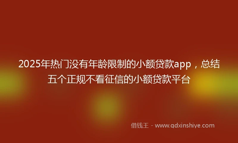 2025年热门没有年龄限制的小额贷款app，总结五个正规不看征信的小额贷款平台