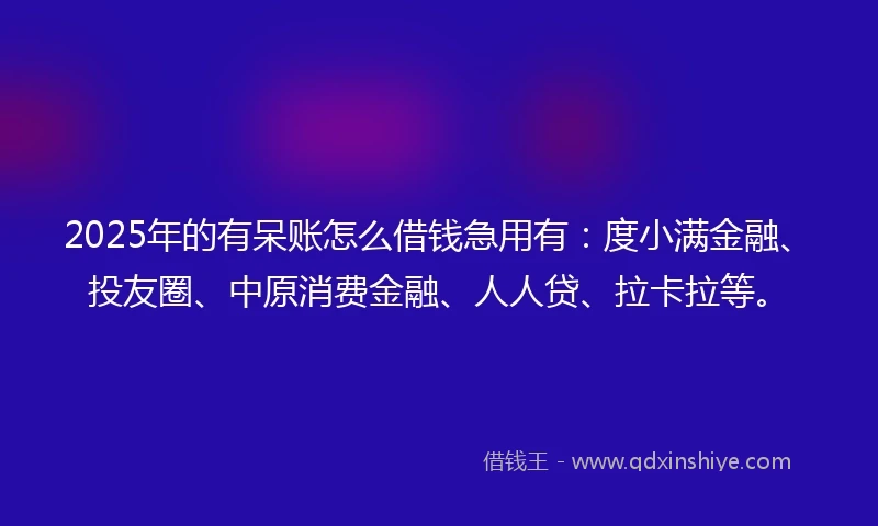 2025年的有呆账怎么借钱急用有：度小满金融、投友圈、中原消费金融、人人贷、拉卡拉等。