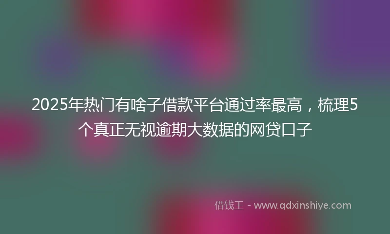 2025年热门有啥子借款平台通过率最高，梳理5个真正无视逾期大数据的网贷口子