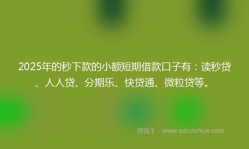 2025年的秒下款的小额短期借款口子有：读秒贷、人人贷、分期乐、快贷通、微粒贷等。