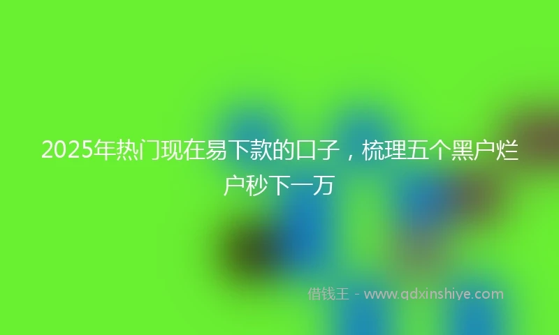 2025年热门现在易下款的口子，梳理五个黑户烂户秒下一万