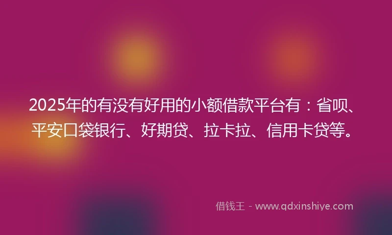 2025年的有没有好用的小额借款平台有：省呗、平安口袋银行、好期贷、拉卡拉、信用卡贷等。