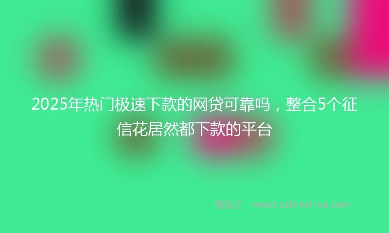 2025年热门极速下款的网贷可靠吗，整合5个征信花居然都下款的平台