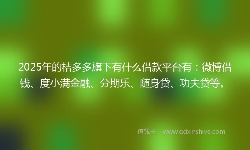 2025年的桔多多旗下有什么借款平台有：微博借钱、度小满金融、分期乐、随身贷、功夫贷等。