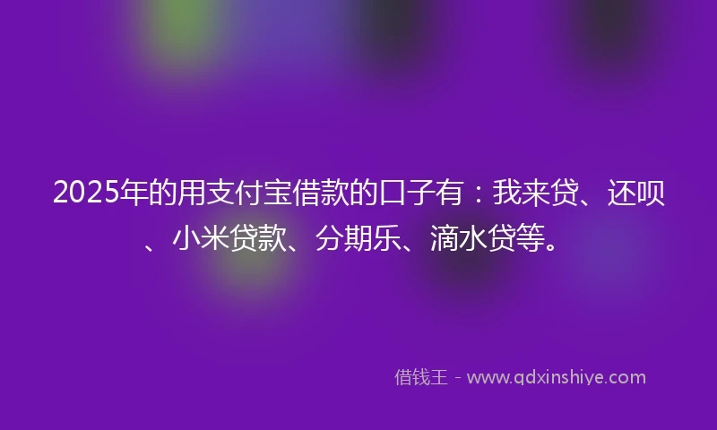 2025年的用支付宝借款的口子有：我来贷、还呗、小米贷款、分期乐、滴水贷等。