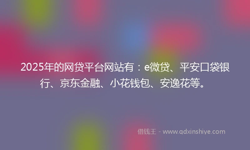2025年的网贷平台网站有：e微贷、平安口袋银行、京东金融、小花钱包、安逸花等。