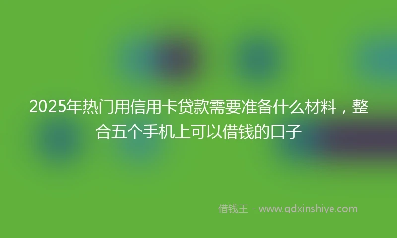 2025年热门用信用卡贷款需要准备什么材料，整合五个手机上可以借钱的口子