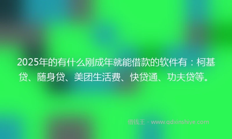 2025年的有什么刚成年就能借款的软件有：柯基贷、随身贷、美团生活费、快贷通、功夫贷等。