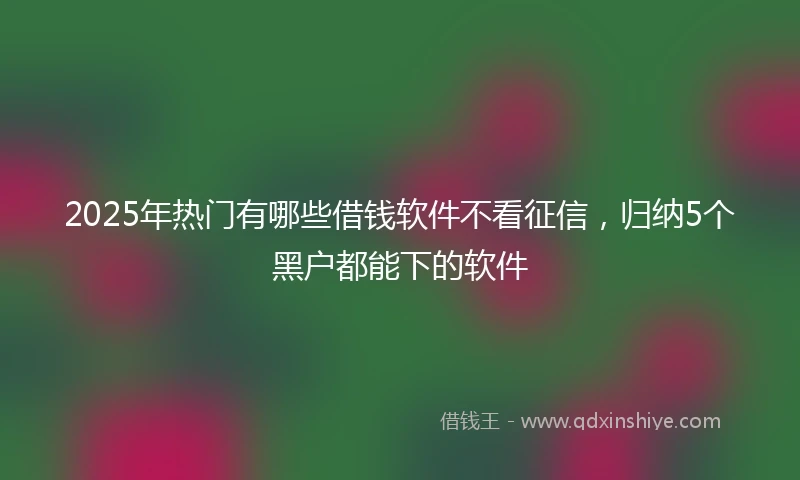 2025年热门有哪些借钱软件不看征信，归纳5个黑户都能下的软件