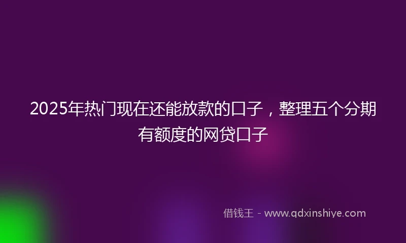 2025年热门现在还能放款的口子，整理五个分期有额度的网贷口子