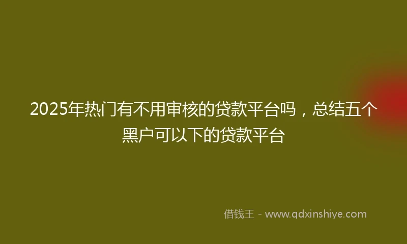 2025年热门有不用审核的贷款平台吗，总结五个黑户可以下的贷款平台