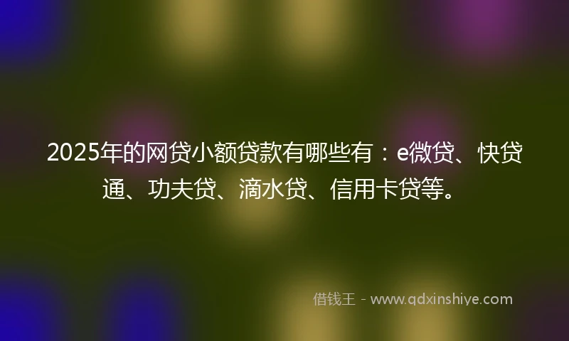 2025年的网贷小额贷款有哪些有：e微贷、快贷通、功夫贷、滴水贷、信用卡贷等。