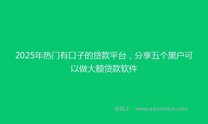 2025年热门有口子的贷款平台，分享五个黑户可以做大额贷款软件