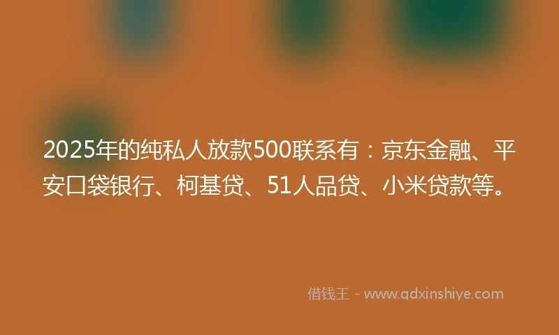 2025年的纯私人放款500联系有：京东金融、平安口袋银行、柯基贷、51人品贷、小米贷款等。