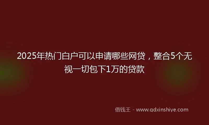 2025年热门白户可以申请哪些网贷，整合5个无视一切包下1万的贷款