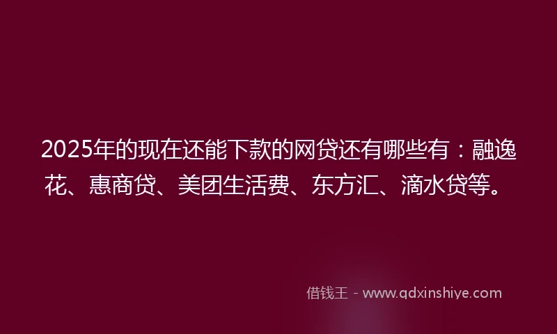 2025年的现在还能下款的网贷还有哪些有：融逸花、惠商贷、美团生活费、东方汇、滴水贷等。