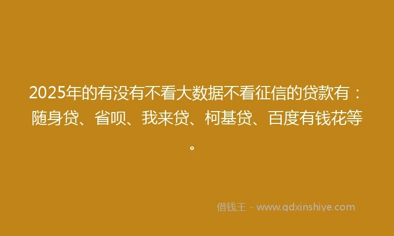 2025年的有没有不看大数据不看征信的贷款有：随身贷、省呗、我来贷、柯基贷、百度有钱花等。