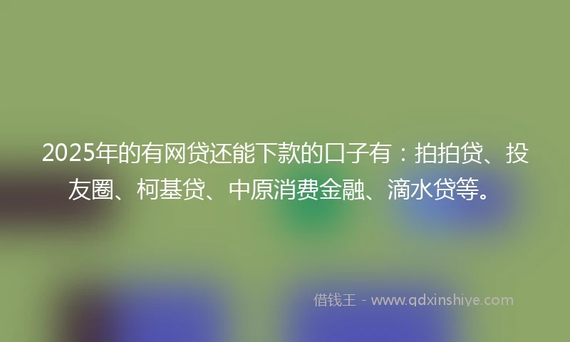 2025年的有网贷还能下款的口子有：拍拍贷、投友圈、柯基贷、中原消费金融、滴水贷等。