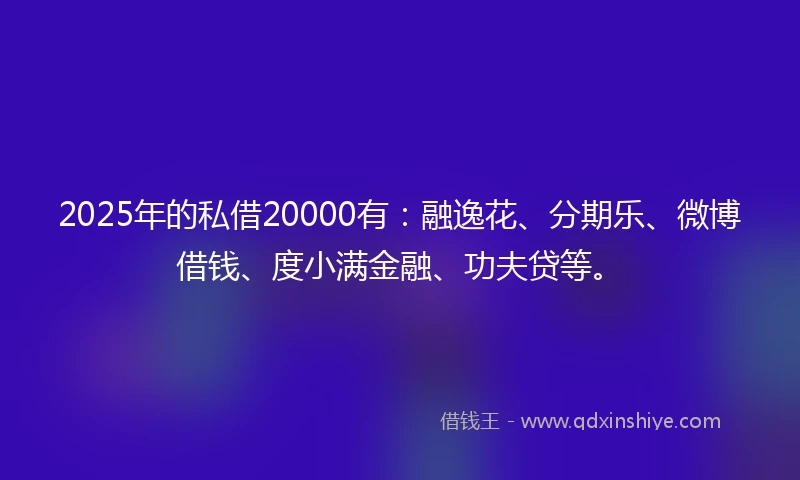 2025年的私借20000有：融逸花、分期乐、微博借钱、度小满金融、功夫贷等。