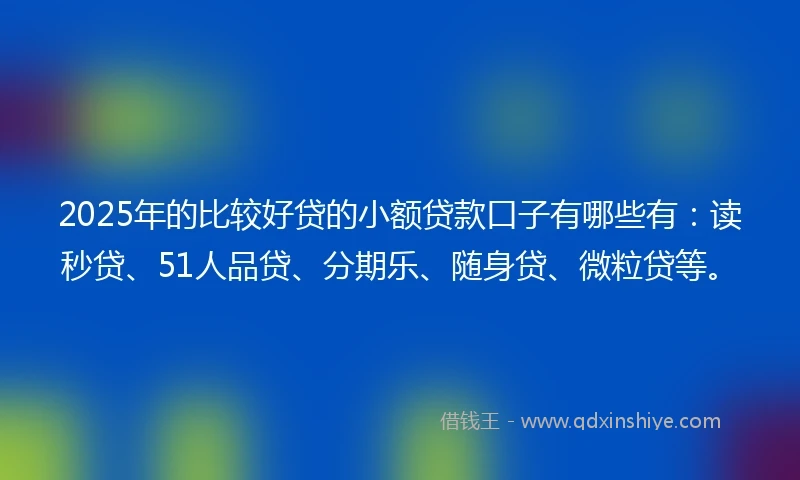 2025年的比较好贷的小额贷款口子有哪些有：读秒贷、51人品贷、分期乐、随身贷、微粒贷等。