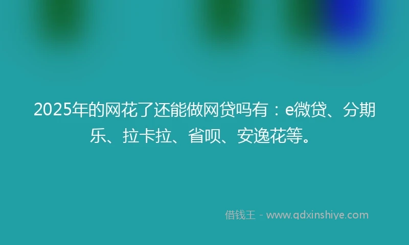 2025年的网花了还能做网贷吗有：e微贷、分期乐、拉卡拉、省呗、安逸花等。