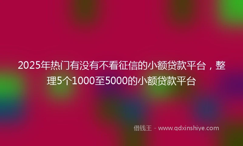 2025年热门有没有不看征信的小额贷款平台，整理5个1000至5000的小额贷款平台