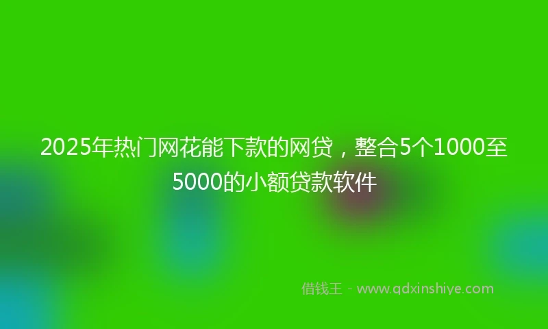 2025年热门网花能下款的网贷，整合5个1000至5000的小额贷款软件