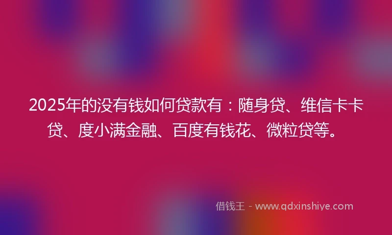 2025年的没有钱如何贷款有：随身贷、维信卡卡贷、度小满金融、百度有钱花、微粒贷等。