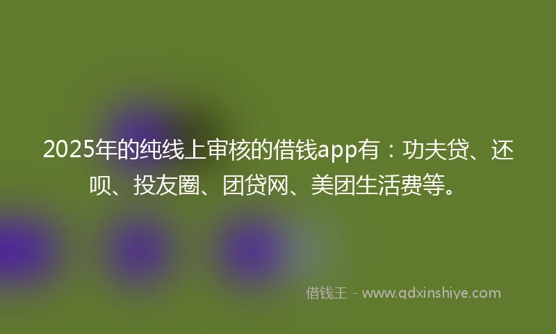 2025年的纯线上审核的借钱app有：功夫贷、还呗、投友圈、团贷网、美团生活费等。
