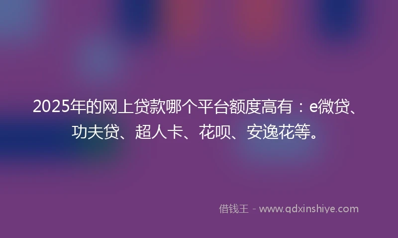 2025年的网上贷款哪个平台额度高有：e微贷、功夫贷、超人卡、花呗、安逸花等。