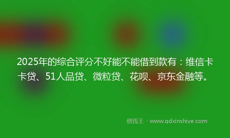 2025年的综合评分不好能不能借到款有：维信卡卡贷、51人品贷、微粒贷、花呗、京东金融等。
