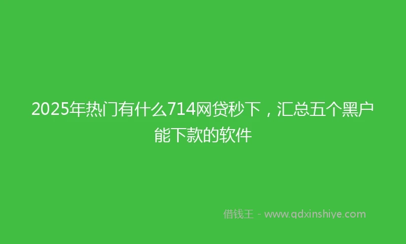 2025年热门有什么714网贷秒下，汇总五个黑户能下款的软件