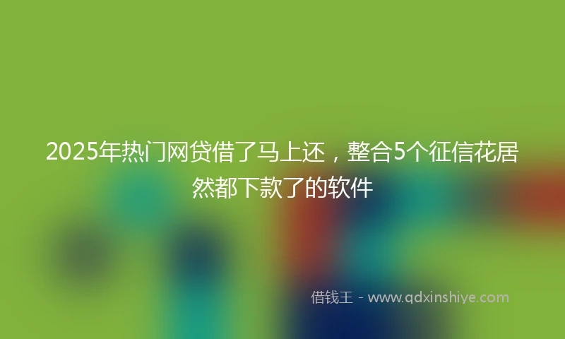 2025年热门网贷借了马上还，整合5个征信花居然都下款了的软件