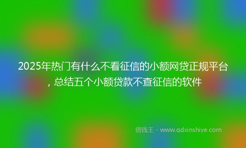 2025年热门有什么不看征信的小额网贷正规平台，总结五个小额贷款不查征信的软件