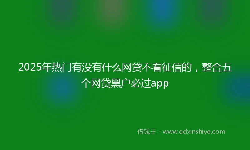 2025年热门有没有什么网贷不看征信的，整合五个网贷黑户必过app