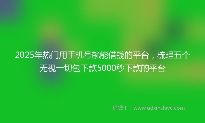 2025年热门用手机号就能借钱的平台，梳理五个无视一切包下款5000秒下款的平台