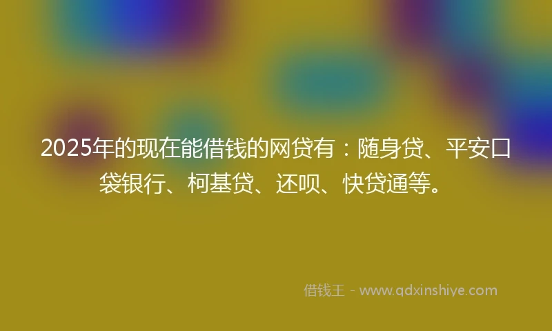 2025年的现在能借钱的网贷有：随身贷、平安口袋银行、柯基贷、还呗、快贷通等。