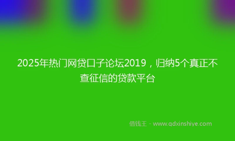 2025年热门网贷口子论坛2019，归纳5个真正不查征信的贷款平台