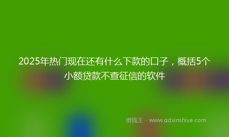 2025年热门现在还有什么下款的口子，概括5个小额贷款不查征信的软件