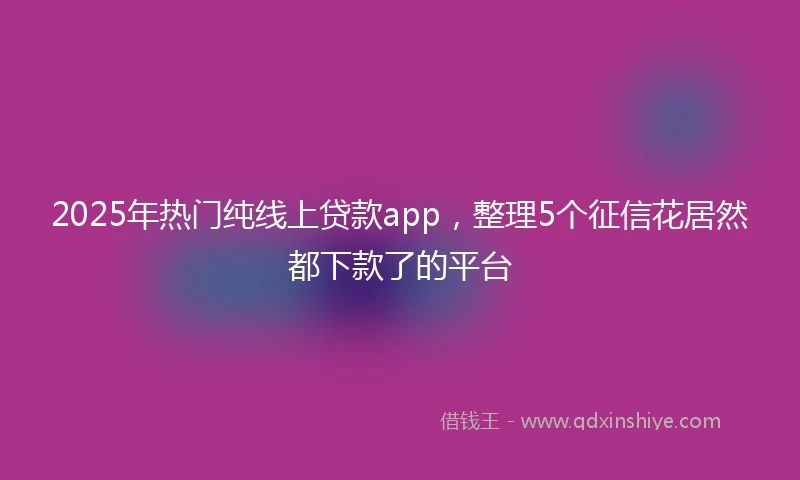 2025年热门纯线上贷款app，整理5个征信花居然都下款了的平台
