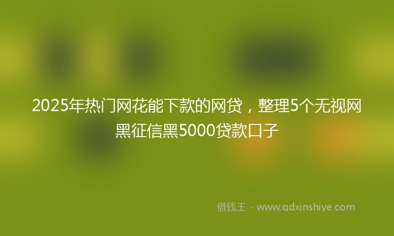 2025年热门网花能下款的网贷，整理5个无视网黑征信黑5000贷款口子