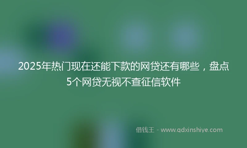 2025年热门现在还能下款的网贷还有哪些，盘点5个网贷无视不查征信软件