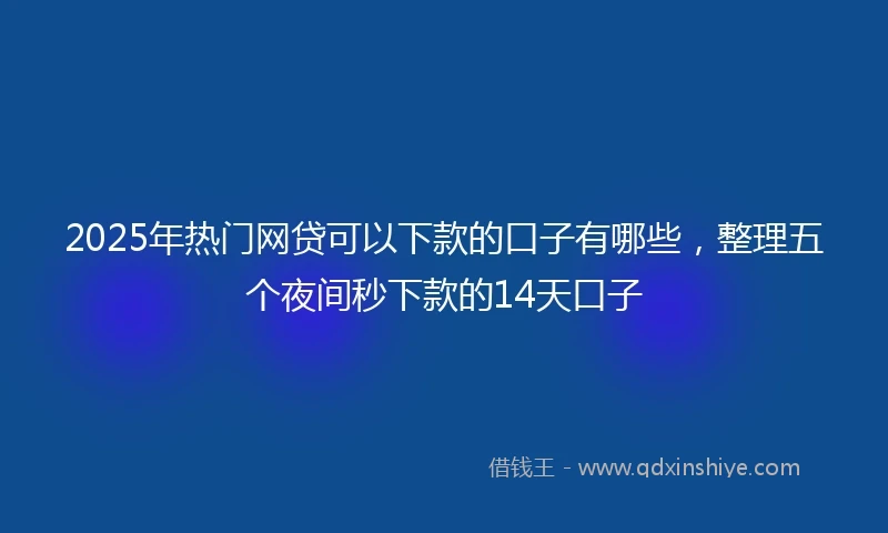 2025年热门网贷可以下款的口子有哪些，整理五个夜间秒下款的14天口子