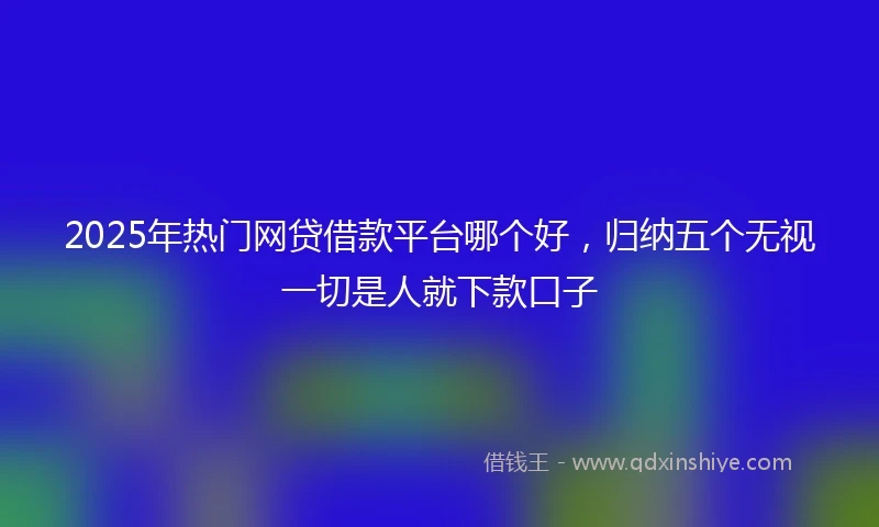 2025年热门网贷借款平台哪个好,归纳五个无视一切是人就下款口子