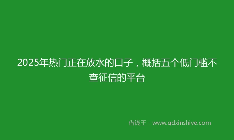 2025年热门正在放水的口子，概括五个低门槛不查征信的平台