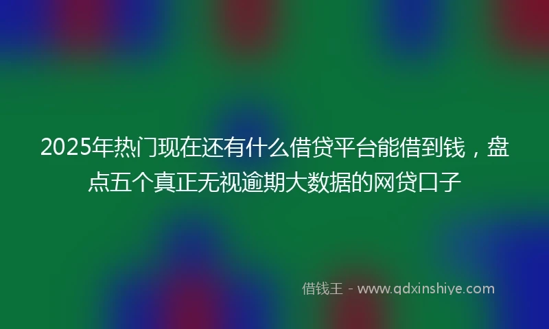 2025年热门现在还有什么借贷平台能借到钱，盘点五个真正无视逾期大数据的网贷口子