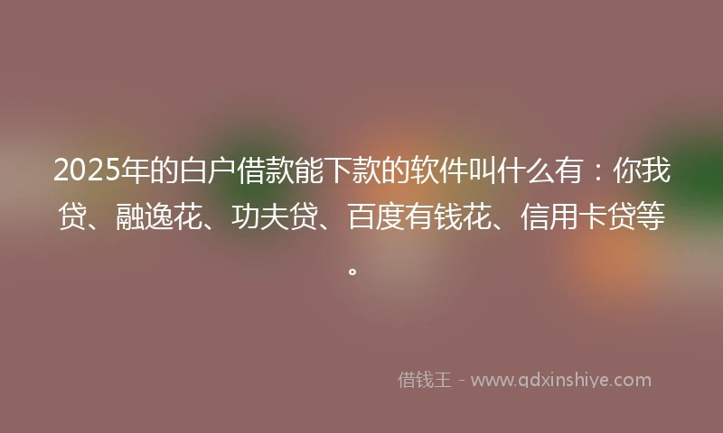 2025年的白户借款能下款的软件叫什么有：你我贷、融逸花、功夫贷、百度有钱花、信用卡贷等。