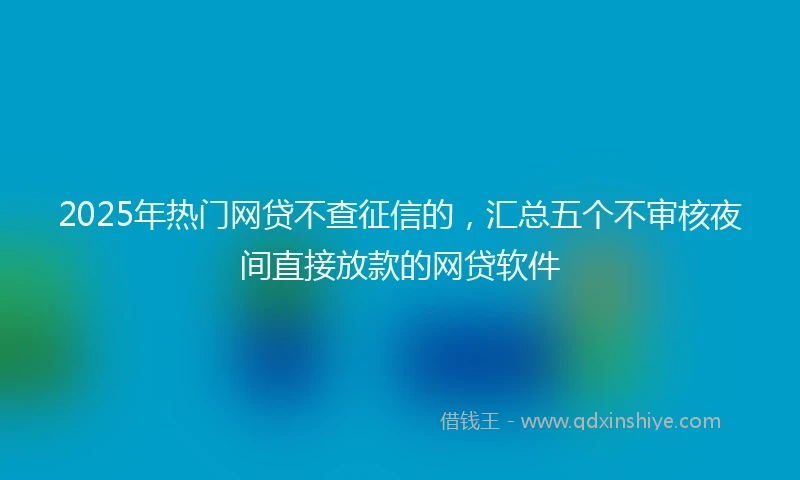 2025年热门网贷不查征信的，汇总五个不审核夜间直接放款的网贷软件