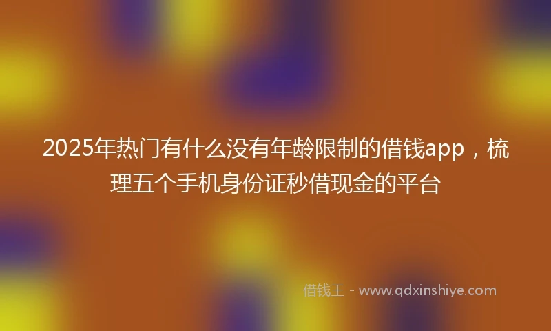 2025年热门有什么没有年龄限制的借钱app，梳理五个手机身份证秒借现金的平台
